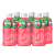 FIZI DRINK COCO - Meloun 320ml 6 ks