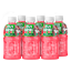FIZI DRINK COCO - Meloun 320ml 6 ks